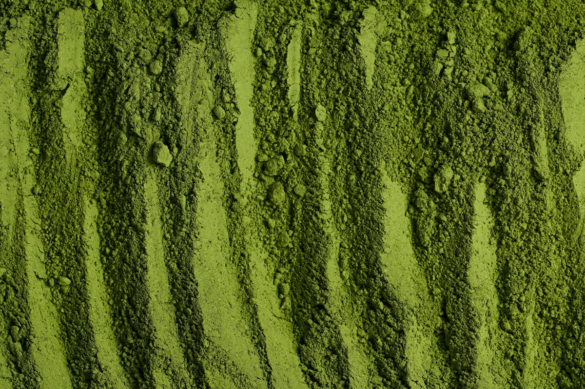 Ceremonial Matcha Powder